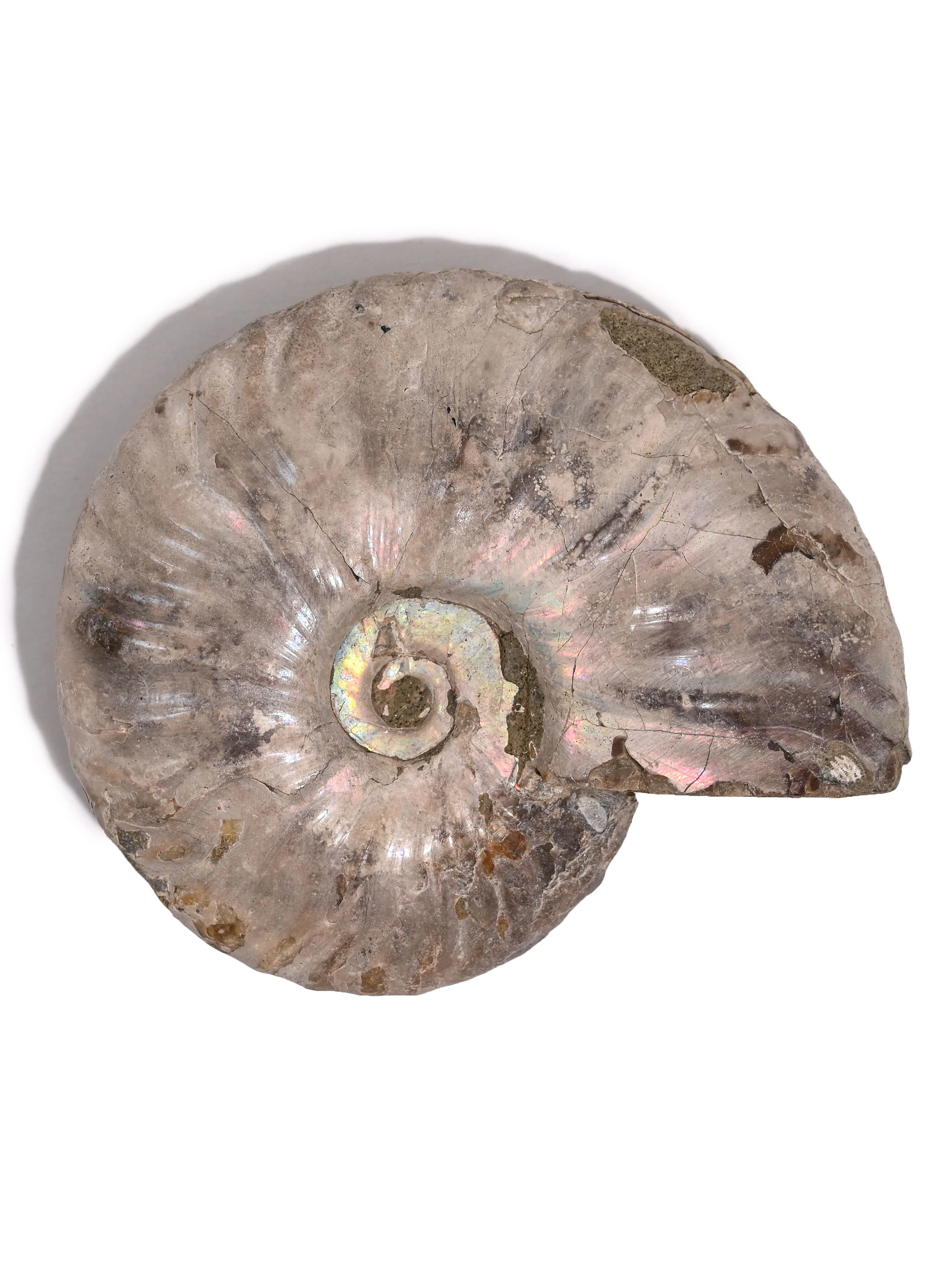 Product image 39